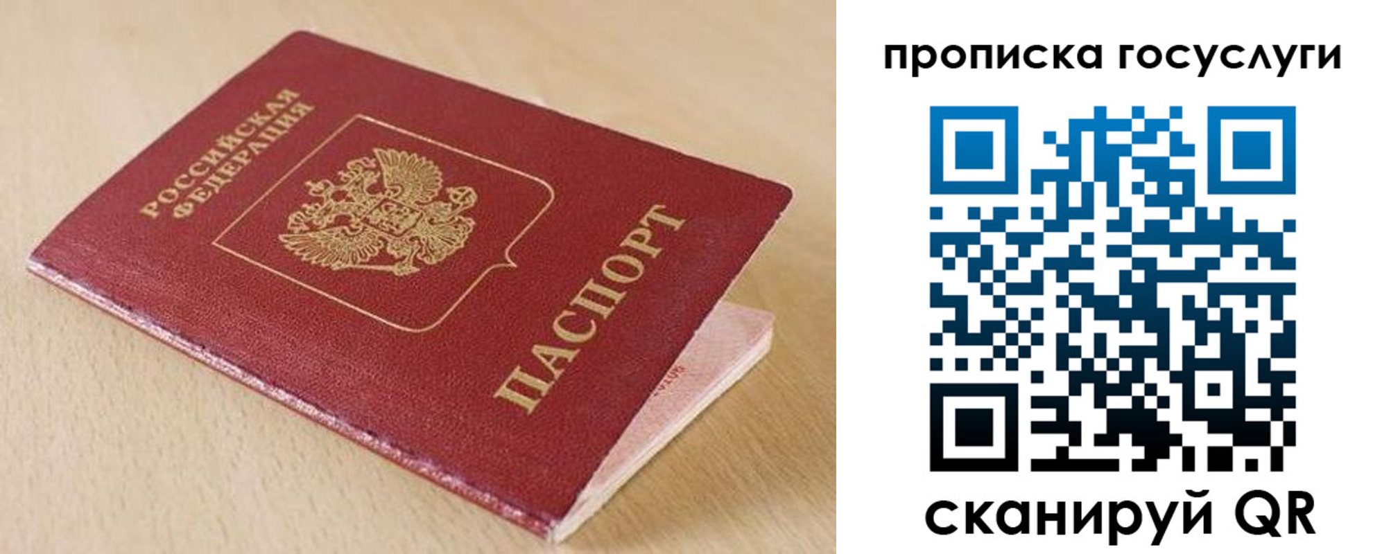 прописка законно в Калтане
